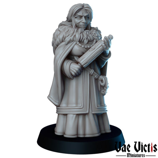 Winter Adventure set or separate miniatures by Vae Victis