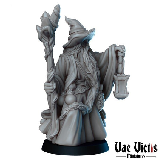 Male Wizard by Vae Victis