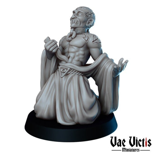 Cultists set or separate miniatures by Vae Victis
