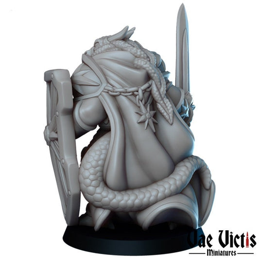 Dragonborn Female Paladin by Vae Victis