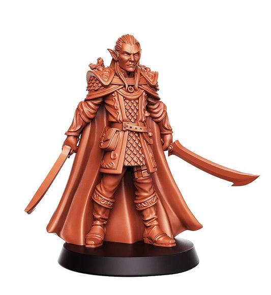 Evendil Gennala (Elf Warrior) by RN Estudio