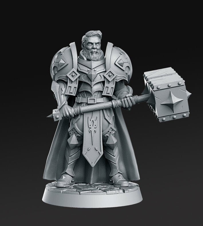 Sir Warrick (Hammer knight) by RN Estudio