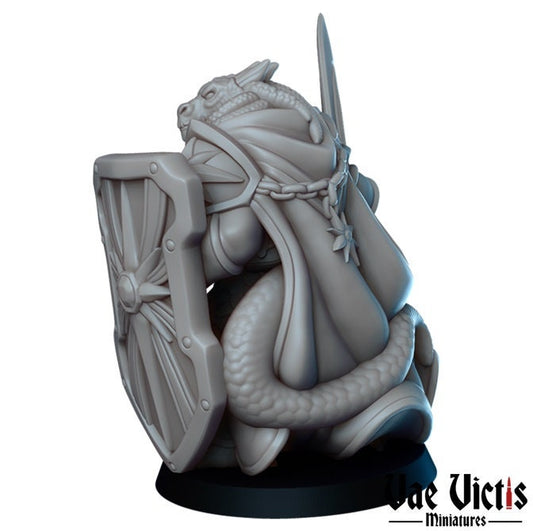 Dragonborn Male Paladin by Vae Victis