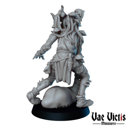 Swamp Hag by Vae Victis