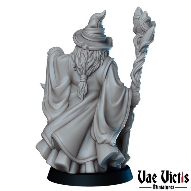 Male Wizard by Vae Victis