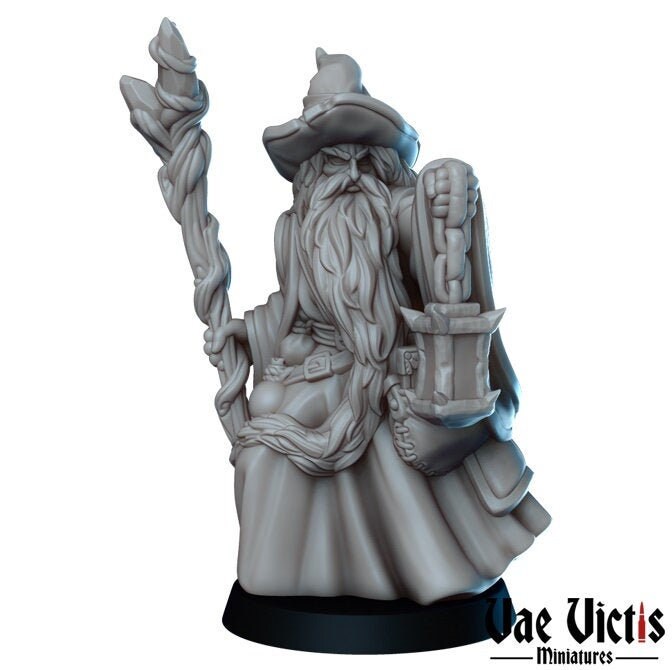 Male Wizard by Vae Victis
