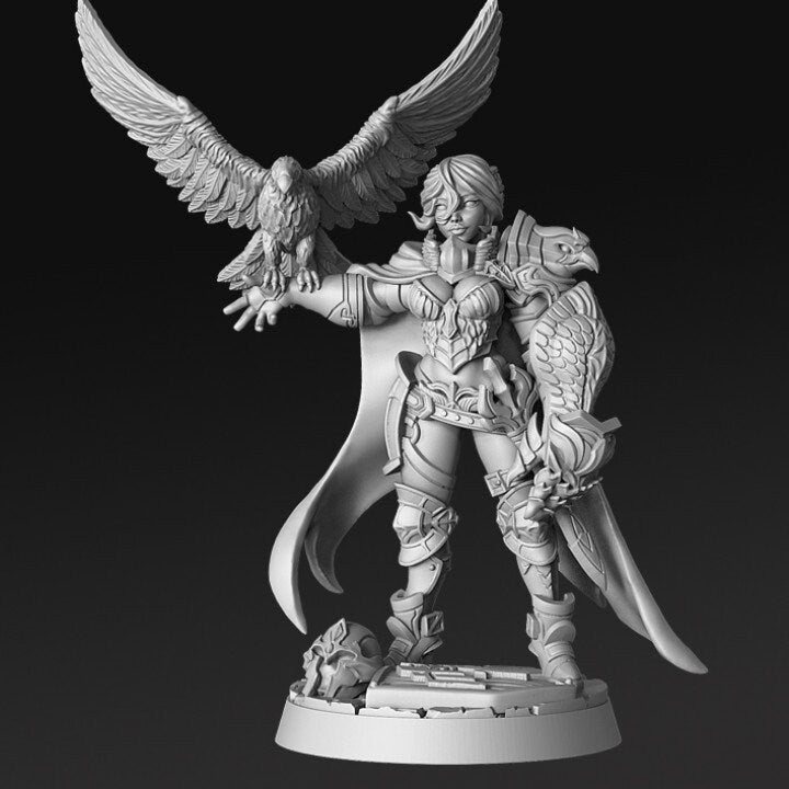 Nadia - Falconer Ward Paladin by RN Estudio