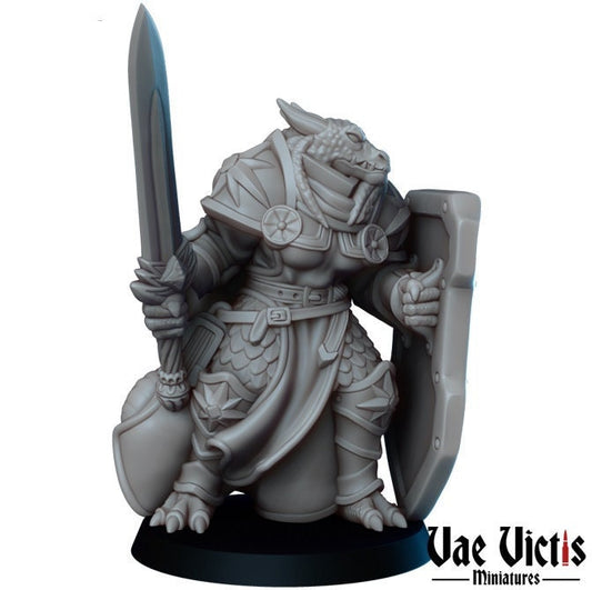 Dragonborn Female Paladin by Vae Victis